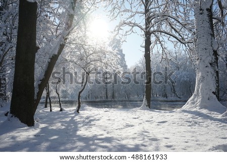 Similar – Foto Bild Schwarzwälder Winterlandschaft