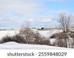 Winter landscape in a park in Quebec city with trees and a blue sky. Outdoor activities in winter and december calendar. A background with snow and an horizon. Plains Abraham and the Citadel.