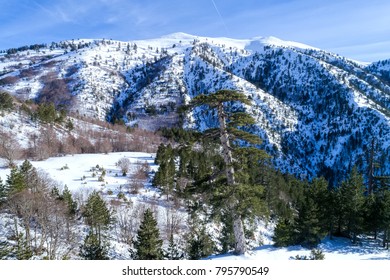 Winter Landscape From The Pindus Mountain Range, Greece