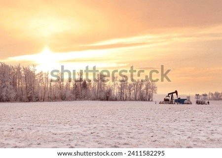 Winter landscape in prairies - orange sunset over the field near a bush covered with snow and a pumpjack on the horizon.