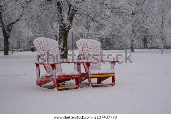 Winter landscape - red Muskoka adirondack wooden\
chairs in city park in heavy snowstorm, wet snow covering trees,\
branches, ground. Storm, blizzard, driving conditions, extreme\
weather warning concept