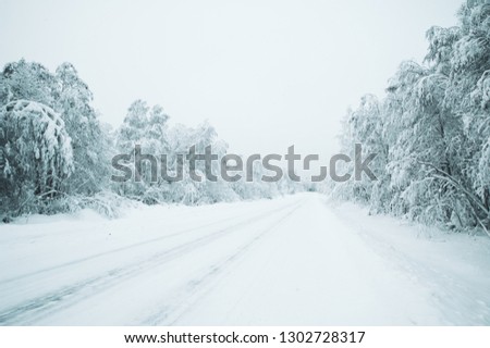 Winter landscape, the road goes into the distance, along the burned down snow-covered trees. Fabulous, mystical photo