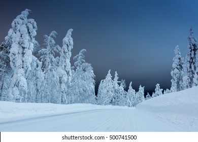 Winter Landscape - Rural Road At Dark Night Time With Big Trees Covered Snow, Windy Weather, Long Exposure