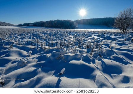 Similar – Image, Stock Photo Landscape on Swabian Alb with meadows, hills and clouds.