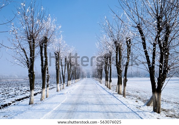 Winter landscape in\
Serbia