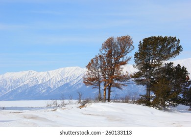 Winter Landscape In Siberia