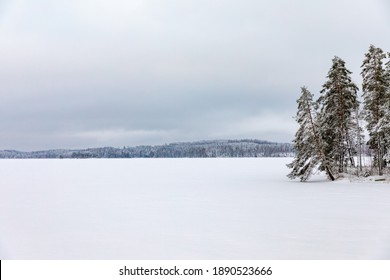 Winter Landscape. Snow Cowered Trees On The Shore Of A Frozen Lake