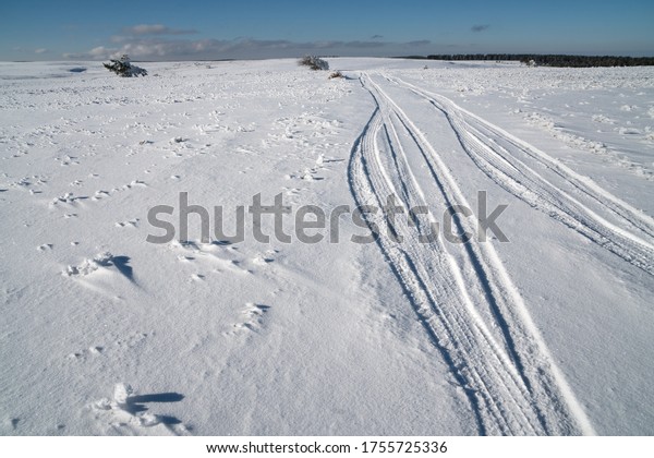 winter landscape with snow field and car track on\
the snow