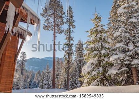 Winter landscape with snow and forest in Sequoia National Park, California, USA. Icicles on foreground