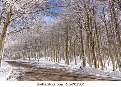 Winter Landscape With Snow, Mount Amiata, Tuscany, Italy