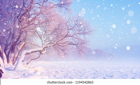 2,334,802 Snow Trees Landscape Images, Stock Photos & Vectors ...