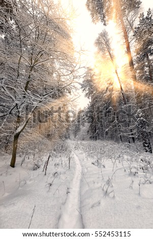 Similar – Winter fog on the footpath