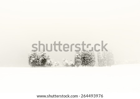 Similar – Peace. Winter Snow Field