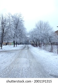 Winter Landscape In A Suburb Of Little City. Wintry White Trees, Road On A Snow, White Way Forward Horizontal Photo