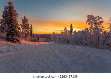 Winter landscape at sundown with colorfull sky and snowy trees and direct light, Gällivare county, Swedish Lapland, Sweden