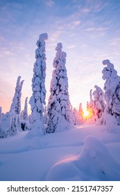 Winter Landscape At Sunrise In Finnish Lapland