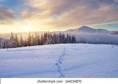 Winter Landscape With Sunrise In The Mountains. The Path In The Snow. Carpathians, Ukraine, Europe