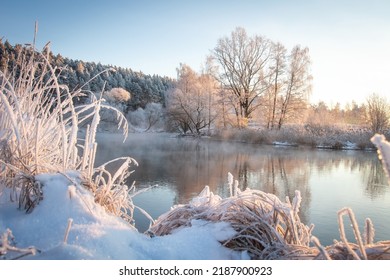 Winter landscape of sunrise in the woodland covered snow. Mist over river witout ice. Dry grass covered snow. Tops trees lighted rays sun in the morning. 