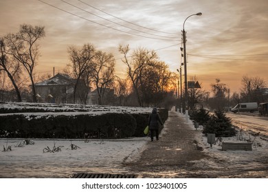 Winter landscape with sunset.
