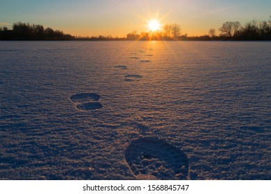 Winter Landscape. Sunset Above A Frozen Lake. Footprints In The Snow Stretching Away Toward The Sun. Place For Text.