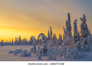 Winter landscape at sunset with colorful sky and clouds, plenty of snow on the trees, Swedish Lapland, Sweden
