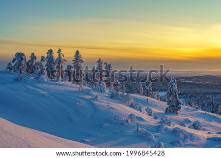 Winter landscape at sunset with colorful sky and plenty of snow on the trees, Swedish Lapland, Sweden