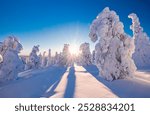 Winter landscape at sunset in Finnish Lapland. Cold winter with lot of snow and blue sky. Spruce trees covered by snow