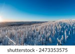 Winter landscape at sunset in Lapland. Cold winter with lot of snow and blue sky. Spruce trees covered by snow