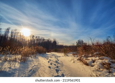 Winter Landscape, Sunset In The Mountains. Clear Footprints In The Snow. A Clear Sunny Day Ends, The Sun Hides Behind The Trees Of The Forest