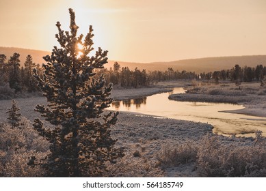 Winter Landscape In Swedish Lapland.