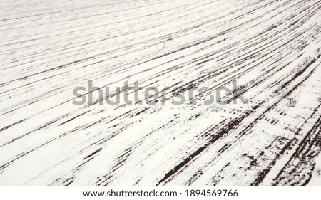 snow Snow White brand Car