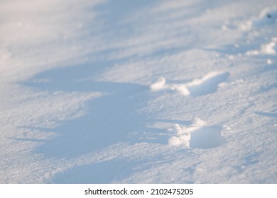 Winter Landscape. Trail Of Footprints In The Snow In The Light Of The Setting Sun.