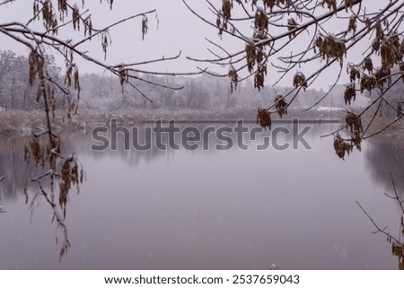winter landscape tree branches bent view of the lake.