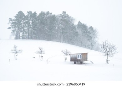 Winter Landscape With Trees And Chicken Coop