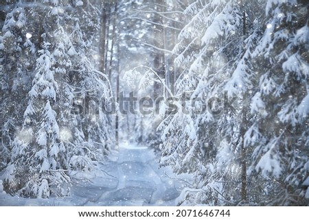 Similar – Winter fog on the footpath