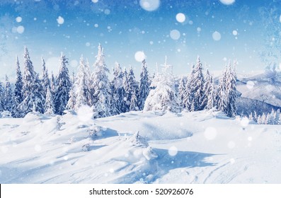 Beautiful Winter Panorama Fresh Powder Snow Stock Photo 510667306 ...