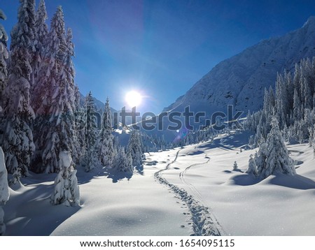 Similar – Panoramic scenery above Grindelwald