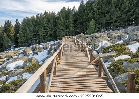 Winter landscape of Vitosha Mountain, Sofia City Region, Bulgaria