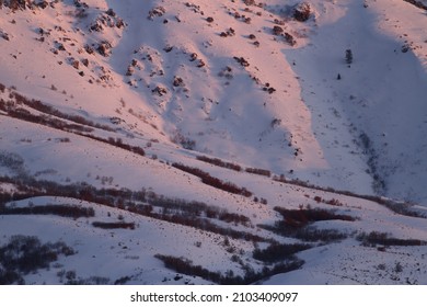 Winter Landscape Wasatch Mountains Utah 