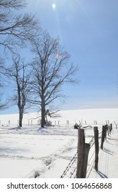 Winter Landscape In Western Pennsylvania