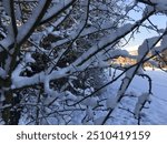 winter landscape where snow has gently settled on the branches of trees. The branches, some bare and others still clinging to a few leaves, are coated with a thick layer of soft, powdery snow. 