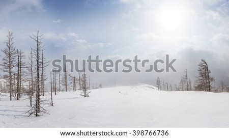 Winter landscape with wind and snow blizzards