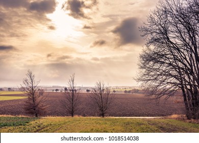 Winter Landscape Without Snow. Hidden Sun Behind Clouds.