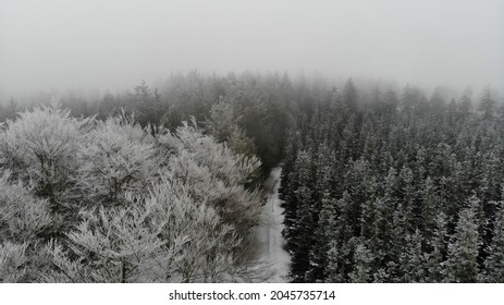 Winter Landscape From The Woods Around Silkeborg In Denmark