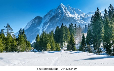 Winter landscapes of Carpathian Mountains , snow fall with blue sky in Italy. - Powered by Shutterstock