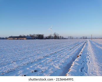 Winter Landscapes White Tress Under Snow