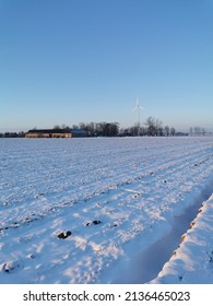 Winter Landscapes White Tress Under Snow