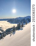 Winter landscapes from Zell am See-Kaprun: snow, glaciers, alpine panorama. Perfect for skiing, winter sports, and nature photography. Scenes of ski slopes, lifts, lodges, and idyllic winter scenery