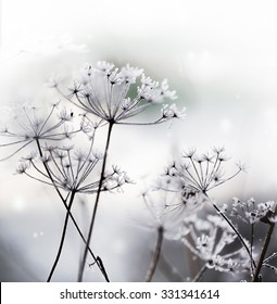 664,322 Winter Flowers Stock Photos, Images & Photography | Shutterstock