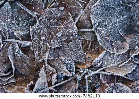 Similar – Foto Bild Der Frost geht weg. Winter